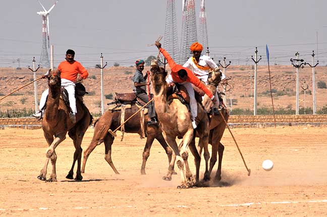Festivals- Jaisalmer Desert Festival, Rajasthan - Camel polo match at Jaisalmer desert festival. by Anil