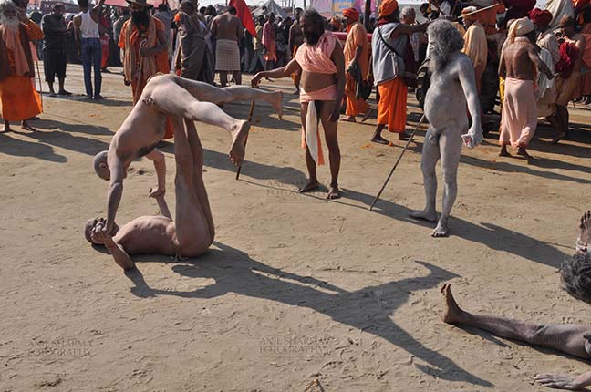 Religion- Naga Sadhu\u2019s at Mahakumbh (India) - Naga sadhu performing yoga near camp at Mahakumbh Allahabad, Uttar Pradesh, India. by Anil
