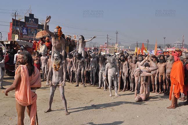 Religion- Naga Sadhu\u2019s at Mahakumbh (India) - Procession of Naga sadhus near camp at Mahakumbh Allahabad, Uttar Pradesh, India. by Anil