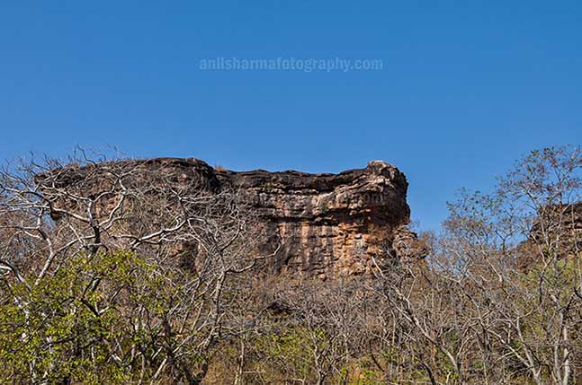 Archaeology- Bhimbetka Rock Shelters (India) - Bhimbetka Rock Shelters at Bhimbetka forest in Ratapani Sanctuary, Raisen, Madhya Pradesh, India by Anil