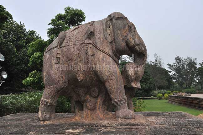 Monuments- Sun Temple Konark (Orissa) - Richly carved stone sculpture of an elephant holding his wounded master with his trunk at Konark Sun Templenear Bhubaneswar, Orissa, India. by Anil