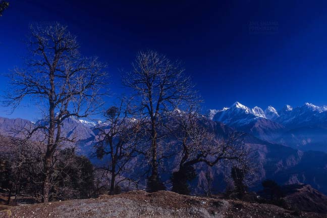 Mountains- Panchuchuli Peaks (India) - Panoramic view of Panchchuli Peaks from Munsyari at Uttarakhand, India. by Anil