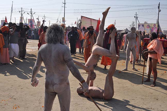 Religion- Naga Sadhu\u2019s at Mahakumbh (India) - Naga sadhus performing yoga near camp at Mahakumbh Allahabad, Uttar Pradesh, India. by Anil