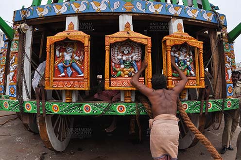 Festivals- Jagannath Rath Yatra (Odisha) - A devotee praying to the idols assembled on the chariot for Jagannath Rath Yatra festival at Puri, Odisha, India. by Anil