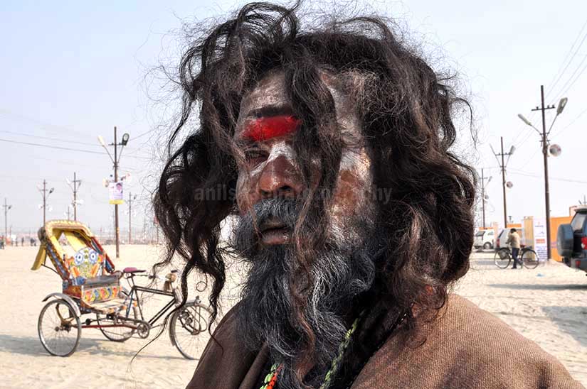 Culture- Aghori Sadhu, Uttar Pradesh (India). - Long hair Aghori Sadhu wearing rudraksha bead at Mahakumbh, Allahabad, Uttar Pradesh, India. by Anil