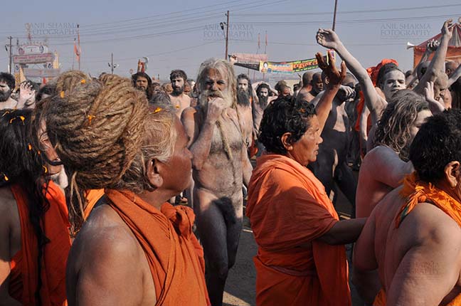 Religion- Naga Sadhu\u2019s at Mahakumbh (India) - Naga sadhus and sadhvis at procession at Mahakumbh Allahabad, Uttar Pradesh, India. by Anil