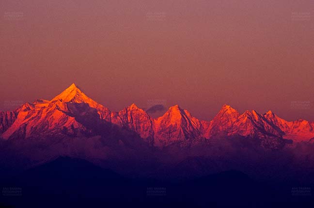 Mountains- Panchchuli Peaks (India) - Pink color Panchchuli Peaks view from Munsyari at Uttarakhand, India. by Anil