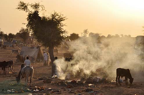 Fairs- Nagaur Cattle Fair (Rajasthan) - Nagaur, Rajasthan, India- Febuary 10, 2011: Dusty and smoky evening, farmers with their families cattles and bullcarts at the Nagaur cattle fair, Nagaur, Rajasthan (India). by Anil