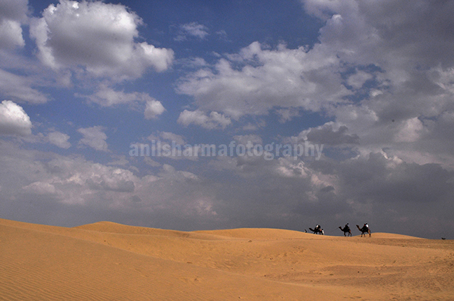 Festivals- Jaisalmer Desert Festival, Rajasthan - Beautiful Thar desert with blue sky. by Anil