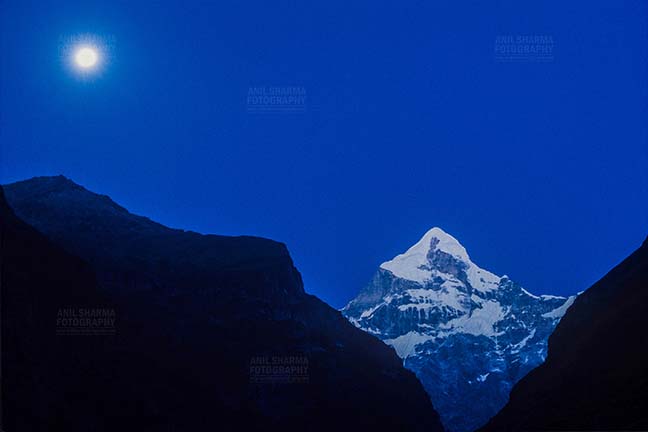 Mountains- Neelkanth Peak (India) - Snow covered Neelkanth Peak on full moon night at Uttarakhand, India. by Anil