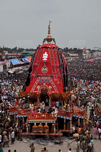 Festivals- Jagannath Rath Yatra (Odisha) - Massive chariot of Lord Balbhadra surrounded by thousands of enthused pilgrims, for Jagannath Rath Yatra festival at Puri, Odisha, India. by Anil