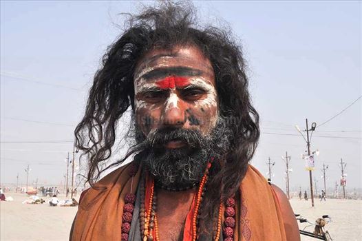 Culture- Aghori Sadhu, Uttar Pradesh (India). - Aghori Sadhu with long hairs, ash and tilak on face wearing rudraksha bead at Mahakumbh mela, Allahabad, Uttar Pradesh, India.