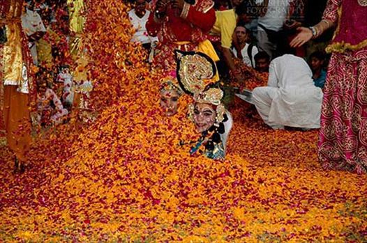 People sprinkling rose and merigold petals on Radha-Krishana at Holi and Elephant Festival at jaipur, Rajasthan (India).