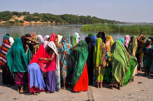 Baneshwar, Dungarpur, Rajasthan, India- February 14, 2011: Bhil women in brightly coloured veils and saris covering their faces ready fot the ritual bath at Baneshwar Dungarpur, Rajasthan, India