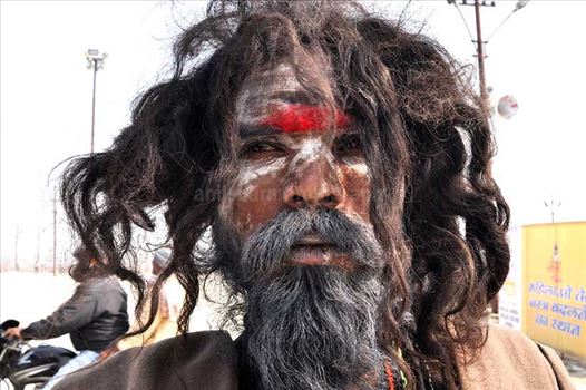 Culture- Aghori Sadhu, Uttar Pradesh (India). - Close-up of a Aghori Sadhu with long hairs, wearing rudraksha bead at Mahakumbh, Allahabad, Uttar Pradesh, India.