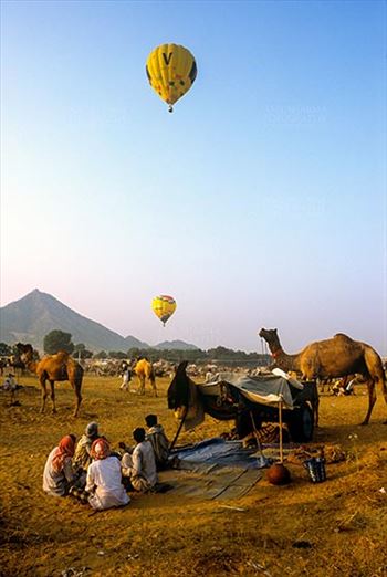 Pushkar, Rajasthan, India- May 23, 2008: Hot air balloons in the sky and some farmers with their camels at Pushkar fair, Rajasthan, India.