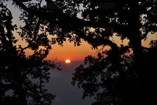 Travel- Nainital (Uttarakhand) - Nainital, Uttarakhand, India- November 11, 2015: Sun set view from Cheena peak reserved forest area at Mallital, Nainital, Uttarakhand, India.