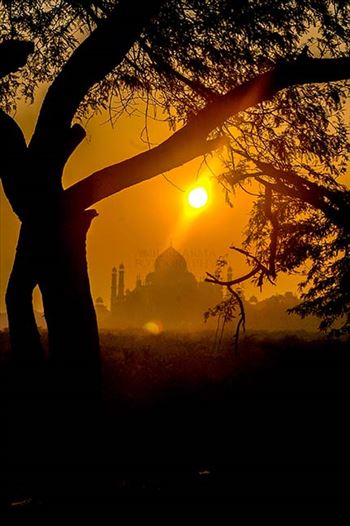 The Beauty of Taj Mahal "The Jewel of Muslim art in India" early in the morning at Agra, Uttar Pradesh, India.