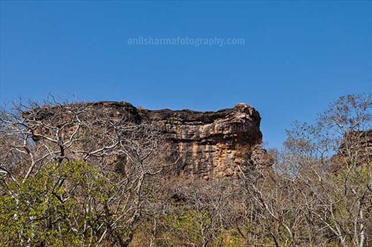 Archaeology- Bhimbetka Rock Shelters (India) - Bhimbetka Rock Shelters at Bhimbetka forest in Ratapani Sanctuary, Raisen, Madhya Pradesh, India