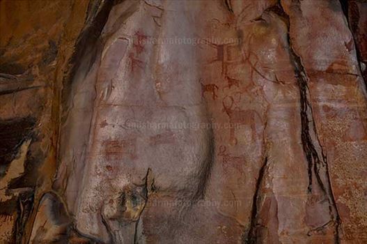 Archaeology- Bhimbetka Rock Shelters (India) - Prehistoric Rock Paintings of different animals at Bhimbetka archaeological site, Raisen, Madhya Pradesh, India