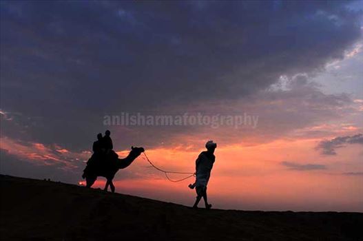 Tourists enjoying camel ride at Jaisalmer desert festival.