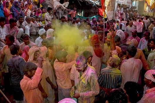 Lagre number of people gathered sprinkle colored powder, singing, dancing during Lathmaar Holi celebration at Barsana, Mathura, India.