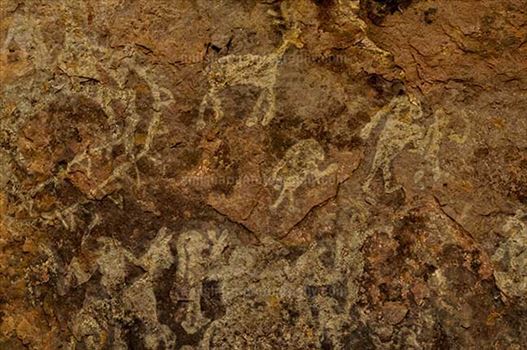 Archaeology- Bhimbetka Rock Shelters (India) - Prehistoric Rock Painting showing worriers on the  horses in white color at Bhimbetka archaeological site, Raisen, Madhya Pradesh, India