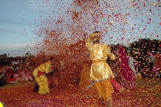 Local people celebrating Holi Festival with flowers at Holi and Elephant Festival at jaipur, Rajasthan (India).